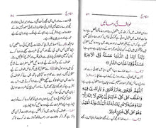 Load image into Gallery viewer, Ahkam e Hajj