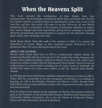 Load image into Gallery viewer, When the Heavens Split