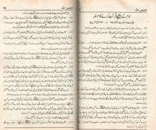 Load image into Gallery viewer, Talkhis Adillah - Hadees Aur Ahl - e - Hadees