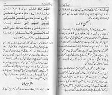 Load image into Gallery viewer, Aap Hajj Kese Karain