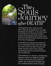 Load image into Gallery viewer, The Souls Journey After Death