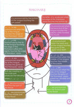 Load image into Gallery viewer, Tajweed Guide