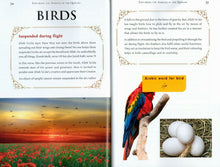 Load image into Gallery viewer, Exploring The Animals Of The Qur'aan