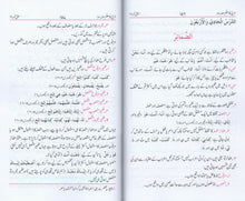 Load image into Gallery viewer, Arbi Ka Mu'allim - Sawm - Part 3