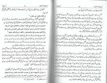 Load image into Gallery viewer, Tadween - e - Fiqh Aur Usul - e - Fiqh