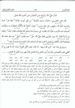 Load image into Gallery viewer, Nafhatul Arab with Ta'liqaat