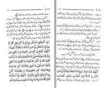 Load image into Gallery viewer, Ahkam e Hajj