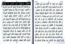 Load image into Gallery viewer, Plain Panj Para