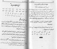 Load image into Gallery viewer, Aap Hajj Kese Karain