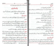 Load image into Gallery viewer, Mu'allimul Hujjaj