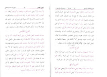 Load image into Gallery viewer, Sharh Miata Amil