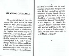 Load image into Gallery viewer, Emergence Of Dajjal The Jewish King