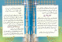 Load image into Gallery viewer, Khawateen ka Hajj