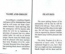 Load image into Gallery viewer, Emergence Of Dajjal The Jewish King