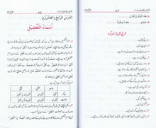 Load image into Gallery viewer, Arbi Ka Mu'allim - Dowm - Part 2