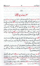 Load image into Gallery viewer, Siyar al-Sahabiyaat with Iswa - e - Sahabiyaat