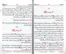 Load image into Gallery viewer, Siyar al-Sahabiyaat with Iswa - e - Sahabiyaat