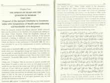 Load image into Gallery viewer, Siratul Mustafa - 3 Volumes