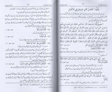 Load image into Gallery viewer, Dars - e - Bukhari 2 Volumes