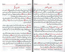 Load image into Gallery viewer, Siyar al-Sahabiyaat with Iswa - e - Sahabiyaat