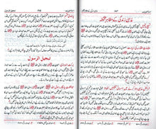 Load image into Gallery viewer, Siyar al-Sahabiyaat with Iswa - e - Sahabiyaat