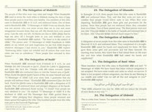 Load image into Gallery viewer, Siratul Mustafa - 3 Volumes