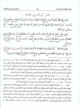 Load image into Gallery viewer, Usul Al Shashi