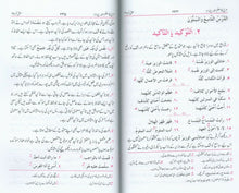 Load image into Gallery viewer, Arbi Ka Mu'allim - Chaharum - Part 4