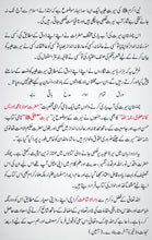 Load image into Gallery viewer, Siratul Mustafa