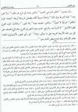 Load image into Gallery viewer, Nur al-Anwar