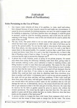 Load image into Gallery viewer, Heavenly Ornaments (Bahishti Zewar)