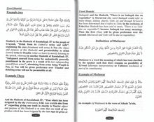 Load image into Gallery viewer, Usool Shaashi - English