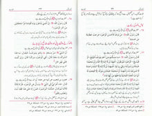 Load image into Gallery viewer, Mudallal Namaz
