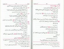 Load image into Gallery viewer, Mudallal Namaz
