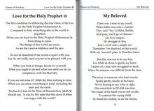 Load image into Gallery viewer, Poems Of Wisdom
