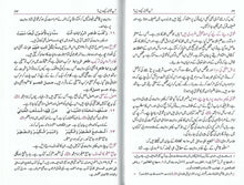 Load image into Gallery viewer, Sharh &#39;Uqud Rasm al-Mufti with Urdu Translation Aap Fatwa Kese Dein - 2 Book Set
