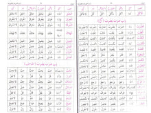 Load image into Gallery viewer, Arbi Safwatul Masaadir with New Vocabulary
