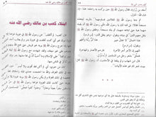 Load image into Gallery viewer, Mukhtaraat Min Adab Al-Arab
