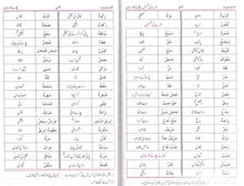 Load image into Gallery viewer, Arbi Safwatul Masaadir with New Vocabulary
