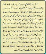 Load image into Gallery viewer, Hujjiyyat - e - Hadith
