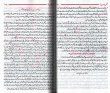 Load image into Gallery viewer, Qisas al-Ambiya
